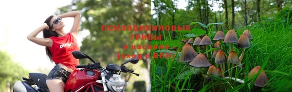 соль ск Нефтегорск
