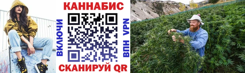 Бошки Шишки планчик  Купить  Курганинск 
